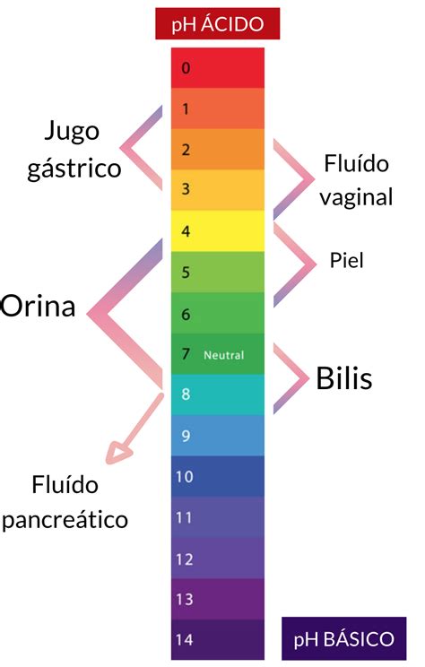ph del cuerpo humano.